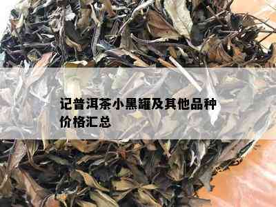 记普洱茶小黑罐及其他品种价格汇总