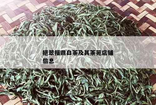 挹翠福鼎白茶及其茶苑店铺信息