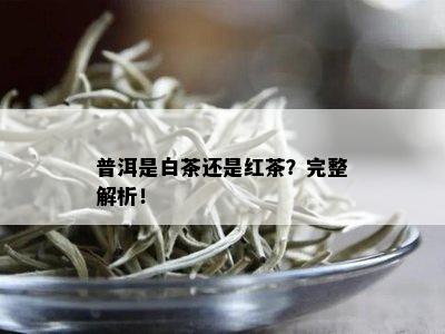 普洱是白茶还是红茶？完整解析！