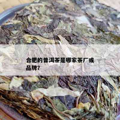 合肥的普洱茶是哪家茶厂或品牌？