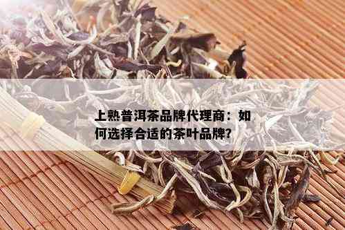 上熟普洱茶品牌代理商：如何选择合适的茶叶品牌？