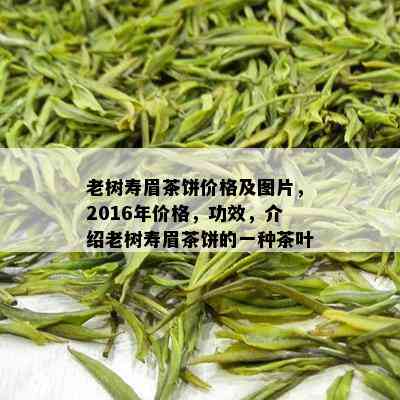 老树寿眉茶饼价格及图片，2016年价格，功效，介绍老树寿眉茶饼的一种茶叶