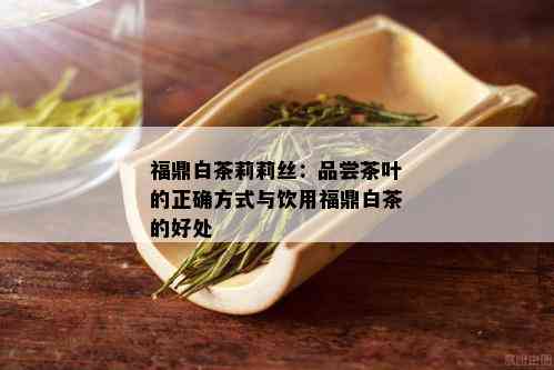 福鼎白茶莉莉丝：品尝茶叶的正确方式与饮用福鼎白茶的好处