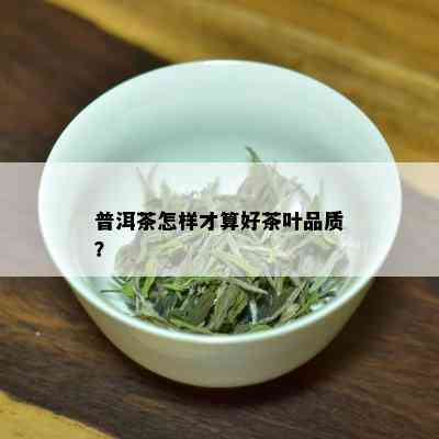 普洱茶怎样才算好茶叶品质？