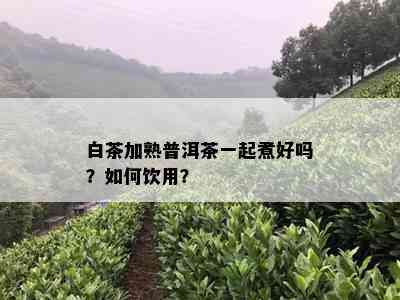 白茶加熟普洱茶一起煮好吗？如何饮用？