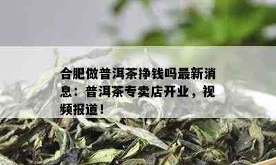 合肥做普洱茶挣钱吗最新消息：普洱茶专卖店开业，视频报道！