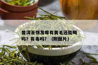 普洱茶饼发霉有黄毛还能喝吗？有吗？（附图片）