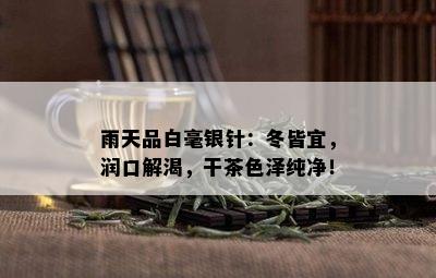 雨天品白毫银针：冬皆宜，润口解渴，干茶色泽纯净！