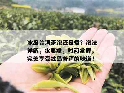 冰岛普洱茶泡还是煮？泡法详解，水要求，时间掌握，完美享受冰岛普洱的味道！