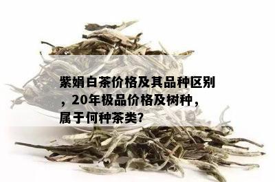 紫娟白茶价格及其品种区别，20年极品价格及树种，属于何种茶类？