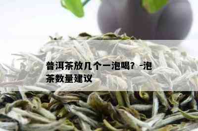 普洱茶放几个一泡喝？-泡茶数量建议