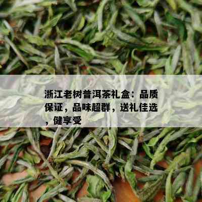 浙江老树普洱茶礼盒：品质保证，品味超群，送礼佳选，健享受