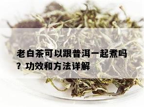 老白茶可以跟普洱一起煮吗？功效和方法详解