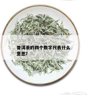 普洱茶的四个数字代表什么意思？