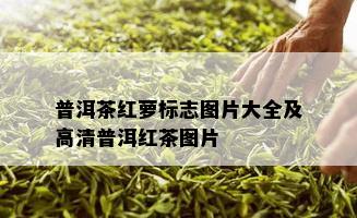 普洱茶红萝标志图片大全及高清普洱红茶图片