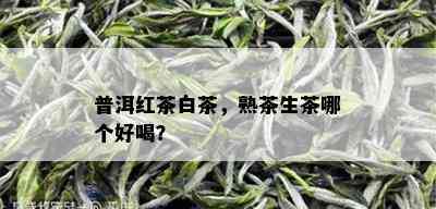 普洱红茶白茶，熟茶生茶哪个好喝？