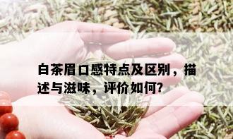 白茶眉口感特点及区别，描述与滋味，评价如何？