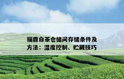 福鼎白茶仓储间存储条件及方法：湿度控制、贮藏技巧