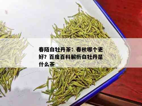 春陌白牡丹茶：春秋哪个更好？百度百科解析白牡丹是什么茶