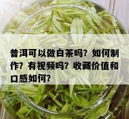 普洱可以做白茶吗？如何制作？有视频吗？收藏价值和口感如何？