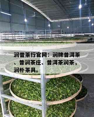 润普茶行官网：润牌普洱茶、普润茶庄、普洱茶润茶，润朴茶具。