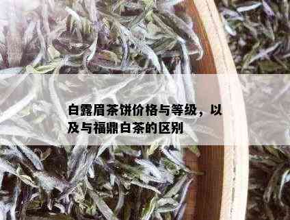 白露眉茶饼价格与等级，以及与福鼎白茶的区别