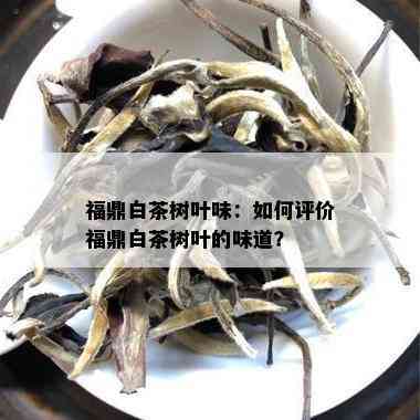 福鼎白茶树叶味：如何评价福鼎白茶树叶的味道？