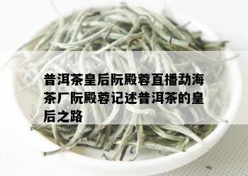 普洱茶皇后阮殿蓉直播勐海茶厂阮殿蓉记述普洱茶的皇后之路