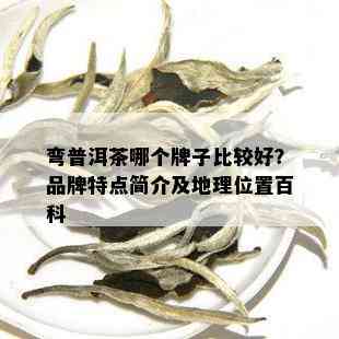 弯普洱茶哪个牌子比较好？品牌特点简介及地理位置百科