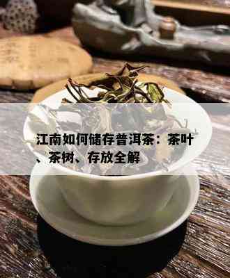 江南如何储存普洱茶：茶叶、茶树、存放全解