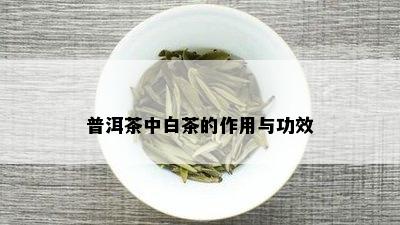 普洱茶中白茶的作用与功效