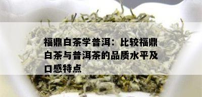 福鼎白茶学普洱：比较福鼎白茶与普洱茶的品质水平及口感特点