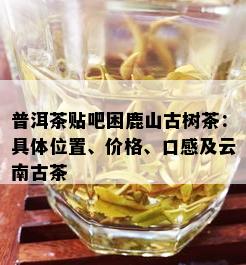 普洱茶贴吧困鹿山古树茶：具 *** 置、价格、口感及云南古茶