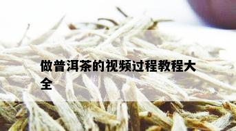 做普洱茶的视频过程教程大全