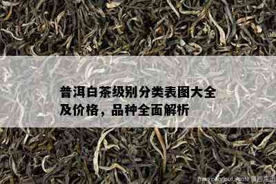 普洱白茶级别分类表图大全及价格，品种全面解析