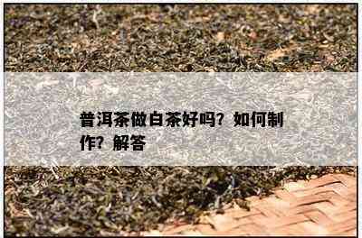 普洱茶做白茶好吗？如何制作？解答