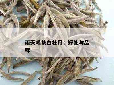 雨天喝茶白牡丹：好处与品味