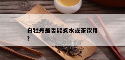 白牡丹是否能煮水或茶饮用？