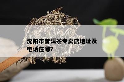 沈阳市普洱茶专卖店地址及电话在哪？