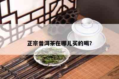 正宗普洱茶在哪儿买的喝？