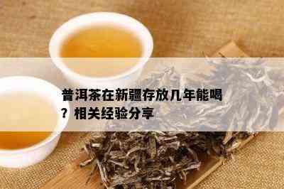 普洱茶在新疆存放几年能喝？相关经验分享