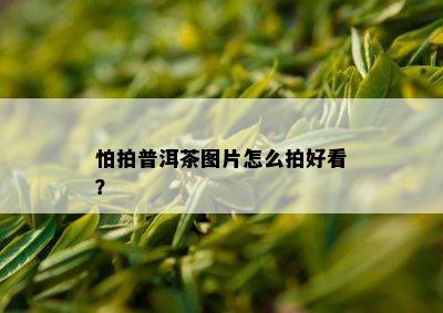 怕拍普洱茶图片怎么拍好看？