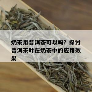 奶茶用普洱茶可以吗？探讨普洱茶叶在奶茶中的应用效果