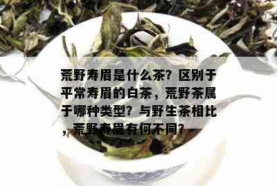 荒野寿眉是什么茶？区别于平常寿眉的白茶，荒野茶属于哪种类型？与野生茶相比，荒野寿眉有何不同？