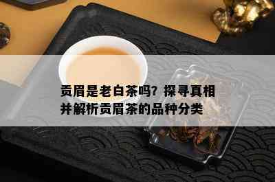 贡眉是老白茶吗？探寻真相并解析贡眉茶的品种分类