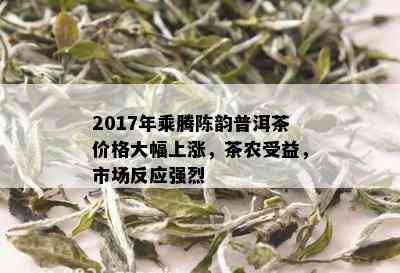 2017年乘腾陈韵普洱茶价格大幅上涨，茶农受益，市场反应强烈