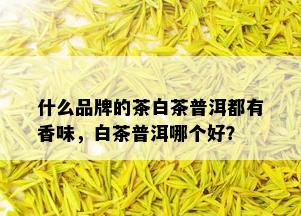 什么品牌的茶白茶普洱都有香味，白茶普洱哪个好？