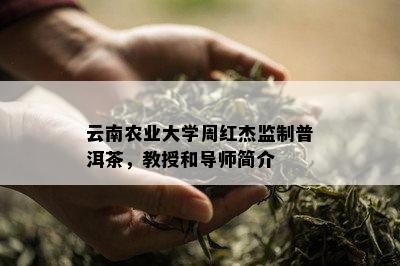 云南农业大学周红杰监制普洱茶，教授和导师简介