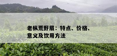 老枞荒野眉：特点、价格、意义及饮用方法