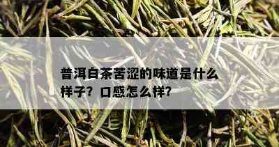 普洱白茶苦涩的味道是什么样子？口感怎么样？